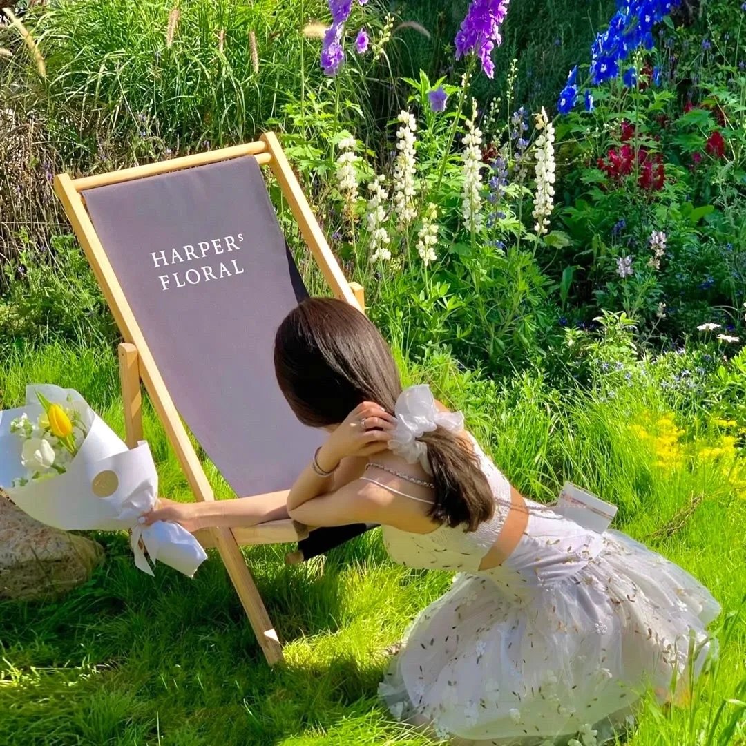 魔翼杀手5